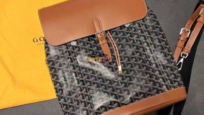 고야드 GOYARD 알팡 알핀 백팩 MM SIZE 39*32*15.5cm 검수사진 ☆☆☆☆☆
