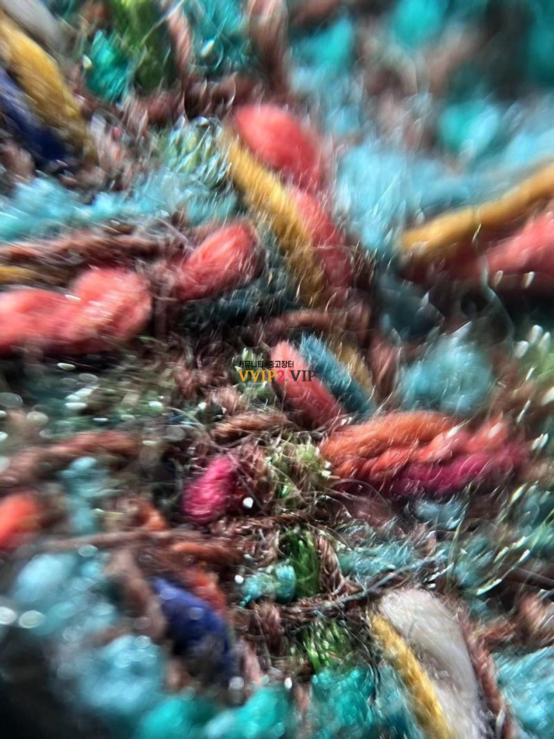 c8902b3e891b8227d8afcc961e029ae4_1695652070_8163.jpg