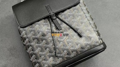 고야드 GOYARD 알핀 알팡 백팩 미니 SIZE 19*10*22cm 검수사진 ☆☆☆☆☆ #VVIP공장