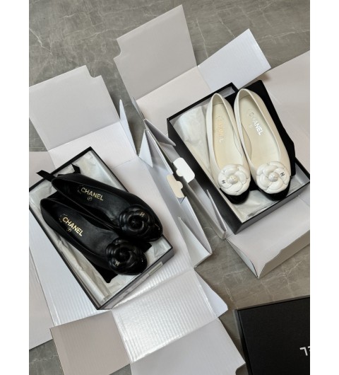 샤넬 24SS 프리컬렉션 까멜리아 투톤 발레리나 2컬러 G45494 35~40